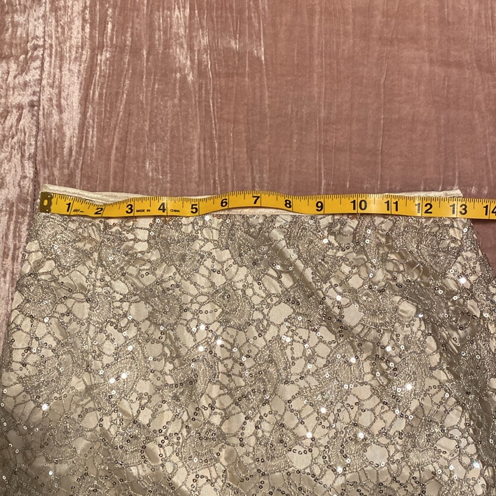 H&M Lace and Sequin Pencil Skirt size 4 - Picture 5 of 5